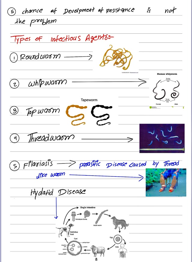 Comprehensive Notes on Antihelmintics Drugs 