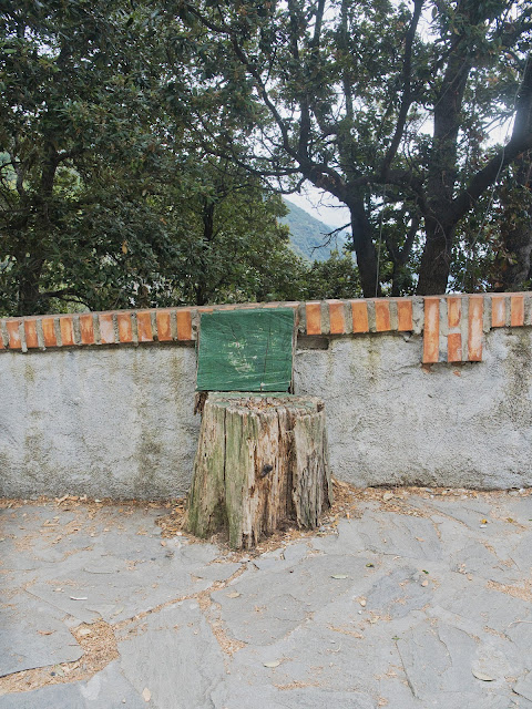 jiemve, le temps d'une pose, Italie, Les Cinq Terres, Le Cinque Terre, Corniglia, Monterosse, Riomaggiore, villages, siège, souche