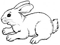 Rabbit Realistic Coloring Pages Printable