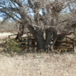 View album