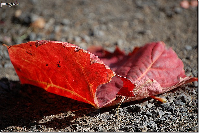 DSC_05830001
