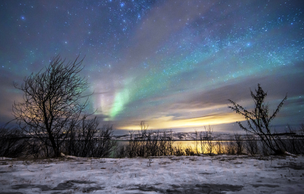 7 glorious reasons to visit Kirkenes in Norway