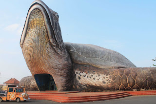 Kura-kura Ocean Park di Pantai Kartini