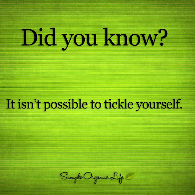 it isn't possible to tickle yourself.