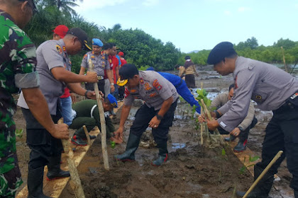 Demi Menjaga Kelestarian Alam dan Lingkungan,program Polri Peduli Tanam 5000 Mangrove di Pantai Pulau Rimau Ketapang