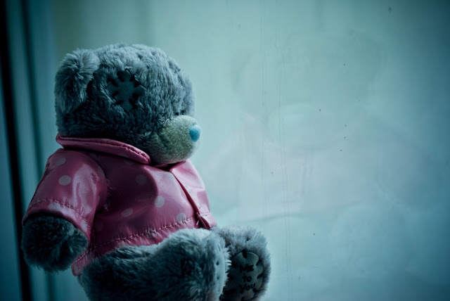 Teddy Bear HD Wallpapers Free Download