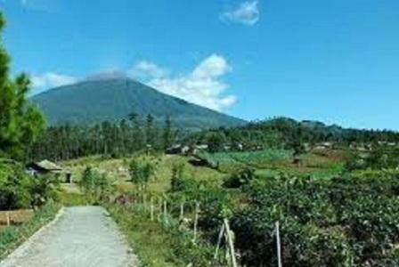  merupakan salah satu Kabupaten di Jawa Tengah yang mempunyai geografi diantara beberapa d 10 Tempat Wisata Purbalingga Paling Populer