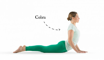 Essential Yoga Poses for Beginners