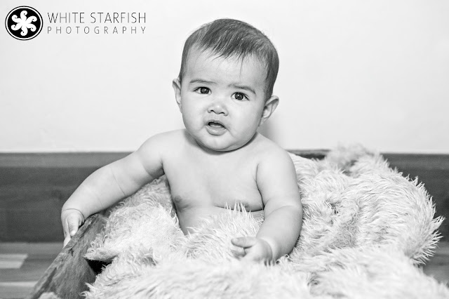 White Starfish Photography - Vail Photographer