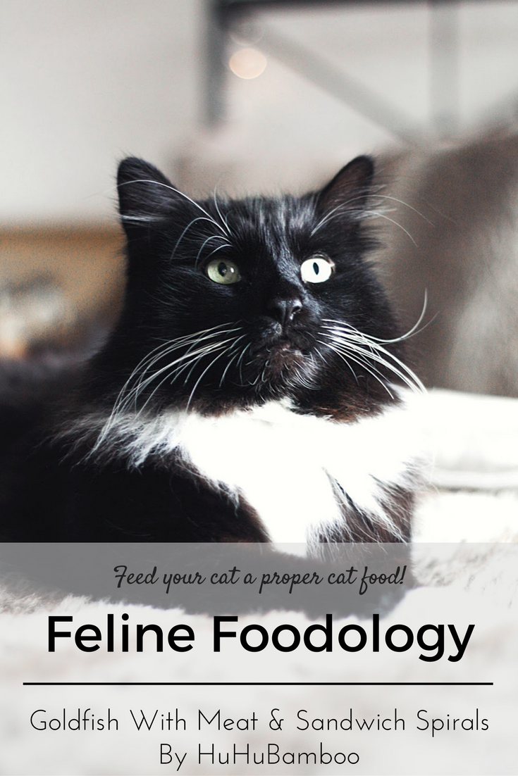 Feline Foodology
