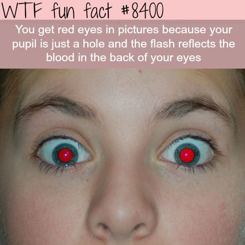 Amazing Interesting Random Facts