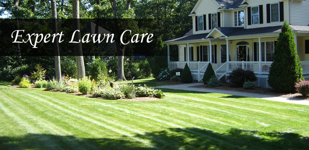 Landscaping And Lawn Care Services