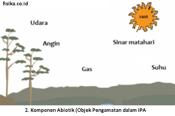 abiotik objek pengamatan dalam IPA