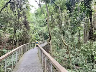 Windsor Park Boardwalk