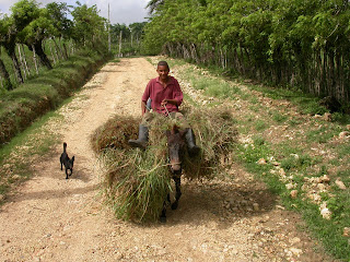 Discover DR's rural roots. Photograph by Janie Robinson, Travel Writer