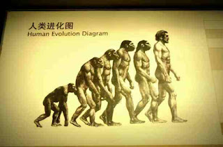 Evolution of human being, string field theory, science Theories