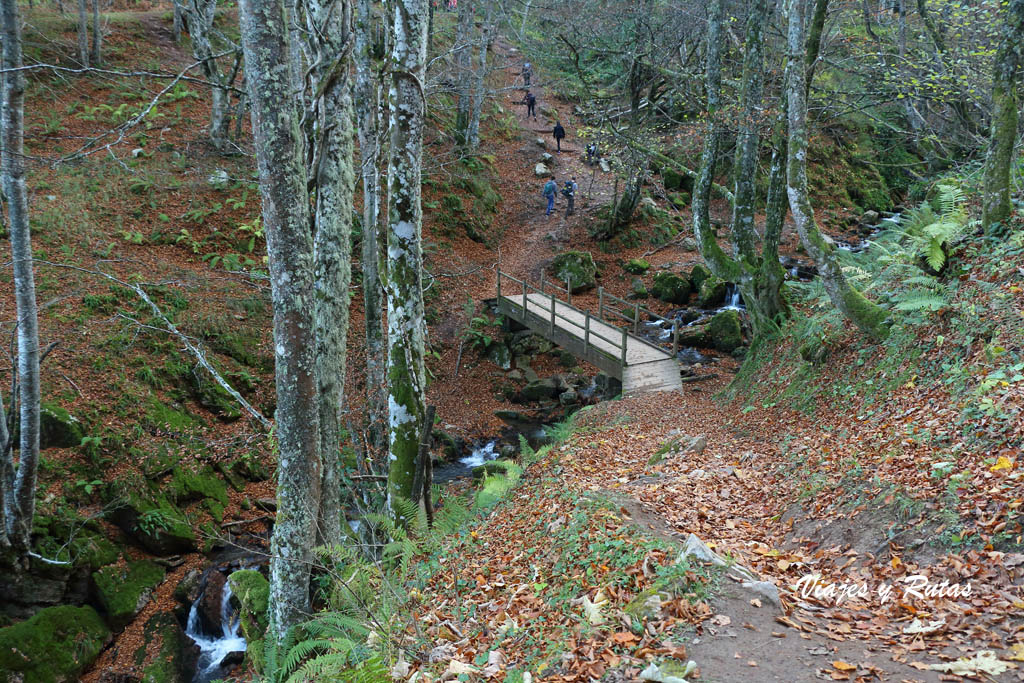 Ruta al Hayedo de Montegrande y la Cascada del Xiblu