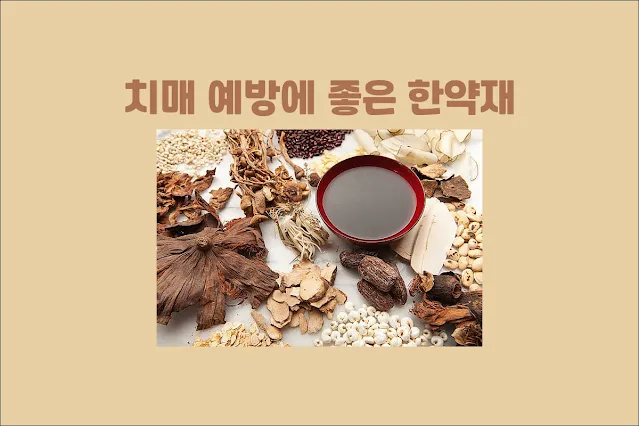 치매-예방에-좋은-한약재
