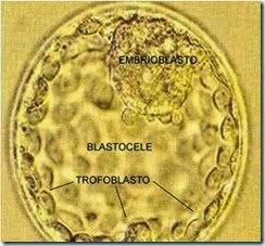 clip_image001