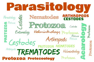 Study of Parasite