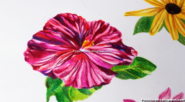 Pencil Drawings Of Flowers