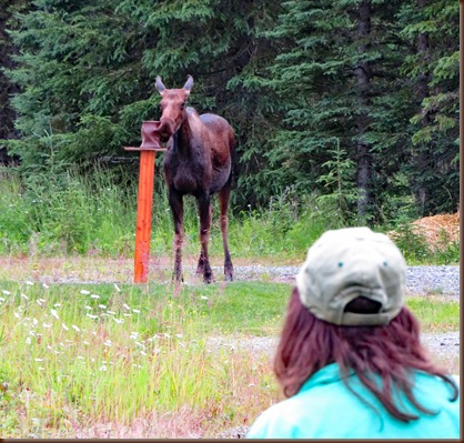 Soldotna AK22-12 Jul 2018