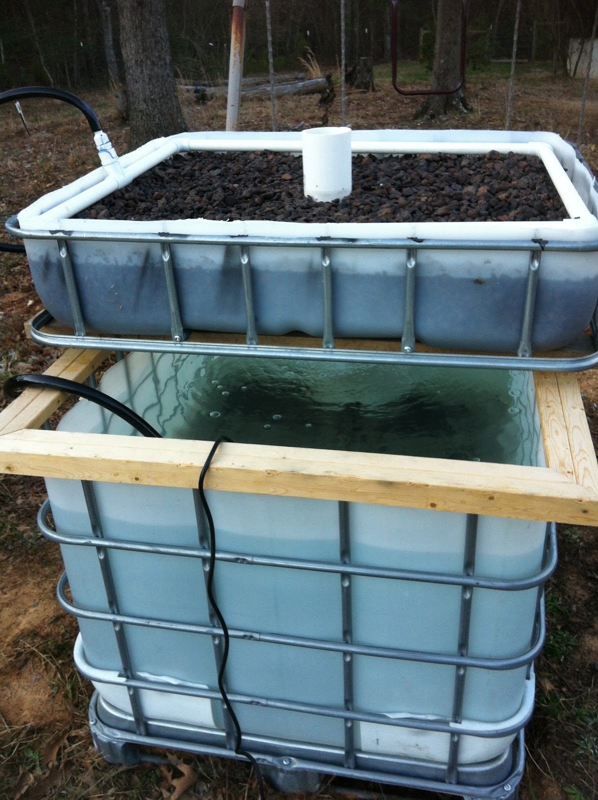 IBC Aquaponics