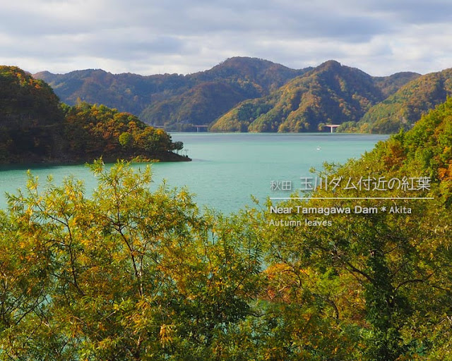 玉川ダム周辺の紅葉（秋田県）