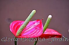 Glória Ishizaka - Jardim Botânico Nagai - Osaka 47