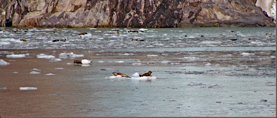 Seward AK136-22 Aug 2018