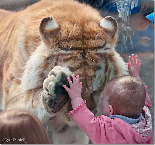.com/img/b/R29vZ2xl/AVvXsEgyiZ_d3l3ggymZqSTuY5MeVl2n5x7ZtdylYyaUOOfCWZsiNPRh0WYXpXZIJCH5CMx_4jz6FdutyR-6lCgZUUdQ-f-mFiOfJvw2rKRHirJNlZVZ3Jk9mdwFxBENcsgusr_vUnGec8ECw9c/