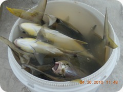DSCN5611