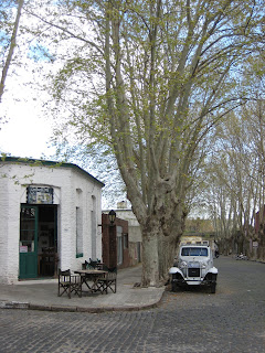 The tree lined streets of Colonia.