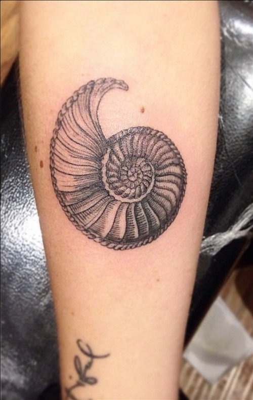 este_doce_de_casca_de_tatuagem