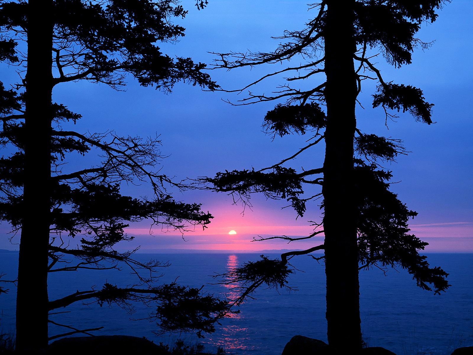 Acadia National Park Maine wallpaper, Observations on the Fringe | The ...