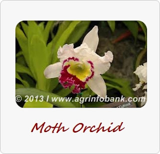 www.agrinfobank.com