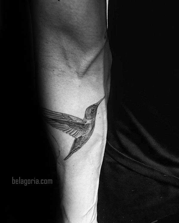 imagen del Tatuaje de un Colibrí