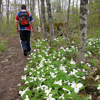 Hiking the Bruce Trail. Photograph by Janie Robinson, Travel Writer