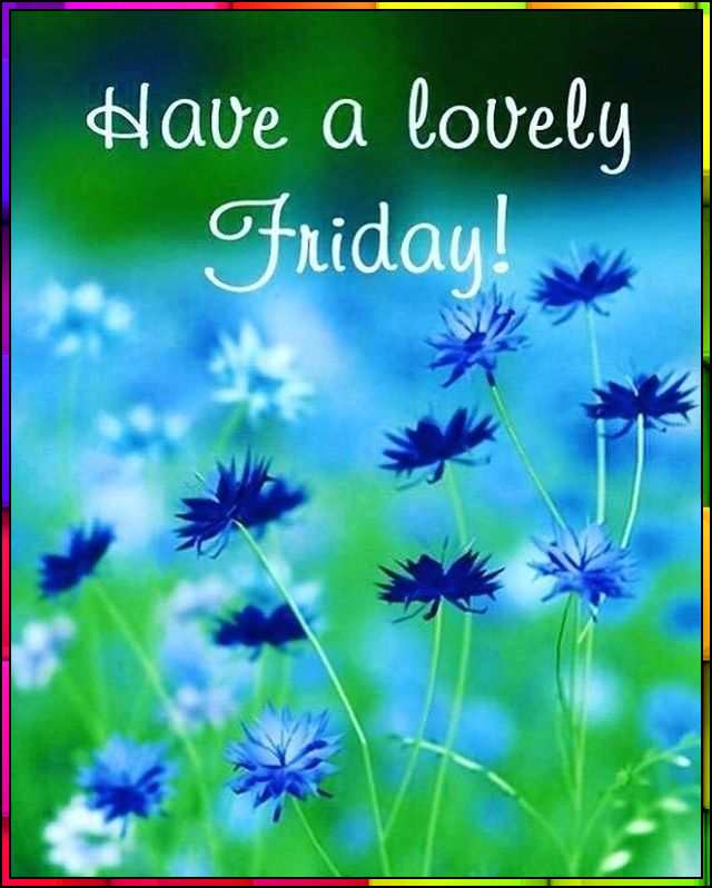 have a lovely friday
