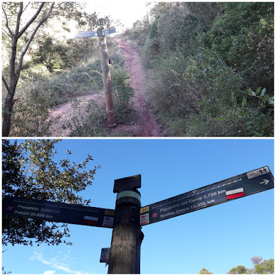 Prenafeta a Santes Creus GR-175 Ruta del Cister, Camí del bosc del Rector