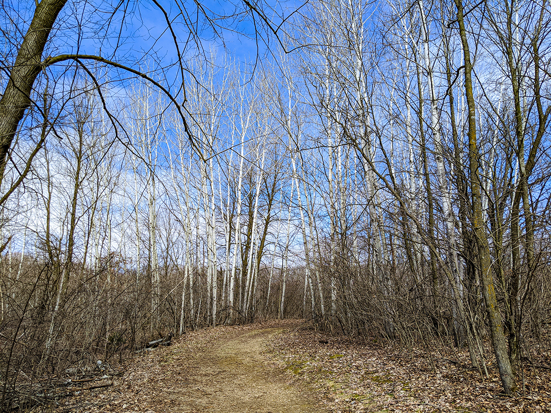 New Fane Hiking Trails