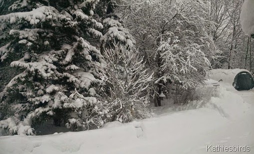 8. 2-5-15 snow storm