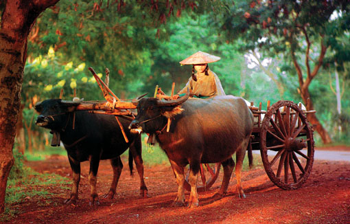 Myanmar road travel