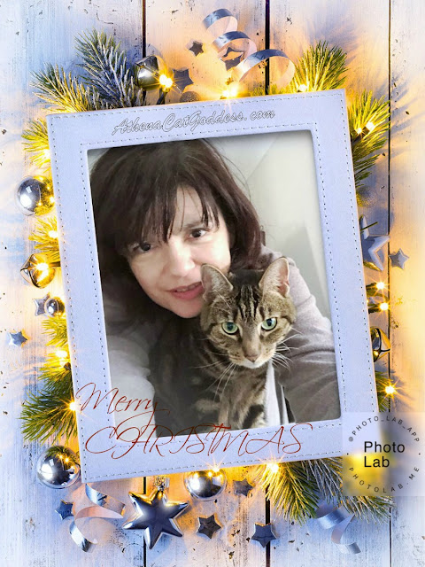 Caturday Art Christmas Selfies