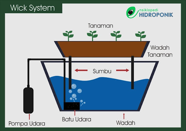 Teknik Hidroponik Sistem Pasang Surut (Ebb &amp; Flow System)