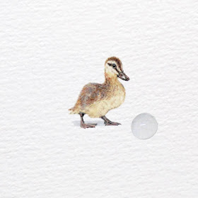 08-Duckling-Frank-Holzenburg-Animals-and-Fantasy-Creatures-Tiny-Paintings-www-designstack-co