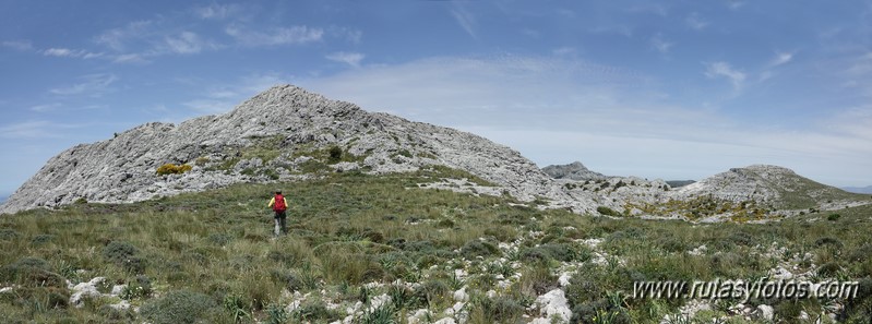 Nueve picos de la Sierra del Endrinal