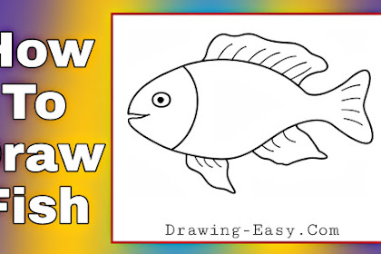 how to draw fish step by step How to draw a fish step by step for kids?