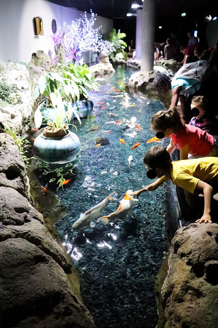 bassin-a-caliner-aquarium-paris