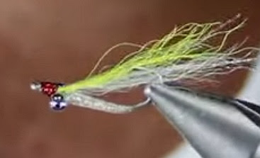 Red Stick Fly Fishers: February 26th fly tying - Pillow Talk